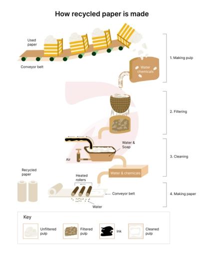 The diagram below shows the process by which paper is manufactured and recycled