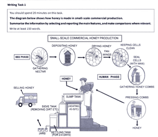 The diagram below shows how honey is made in small-scale commercial production.

Summarise the informationby selectingandreporting themainfeatures, andmake comparisonswhere relevant.