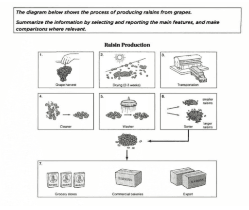 The diagram below shows the process of producing raisins from grapes.

Summarize the information by selecting and reporting the main features, and make comparisons where relevant.